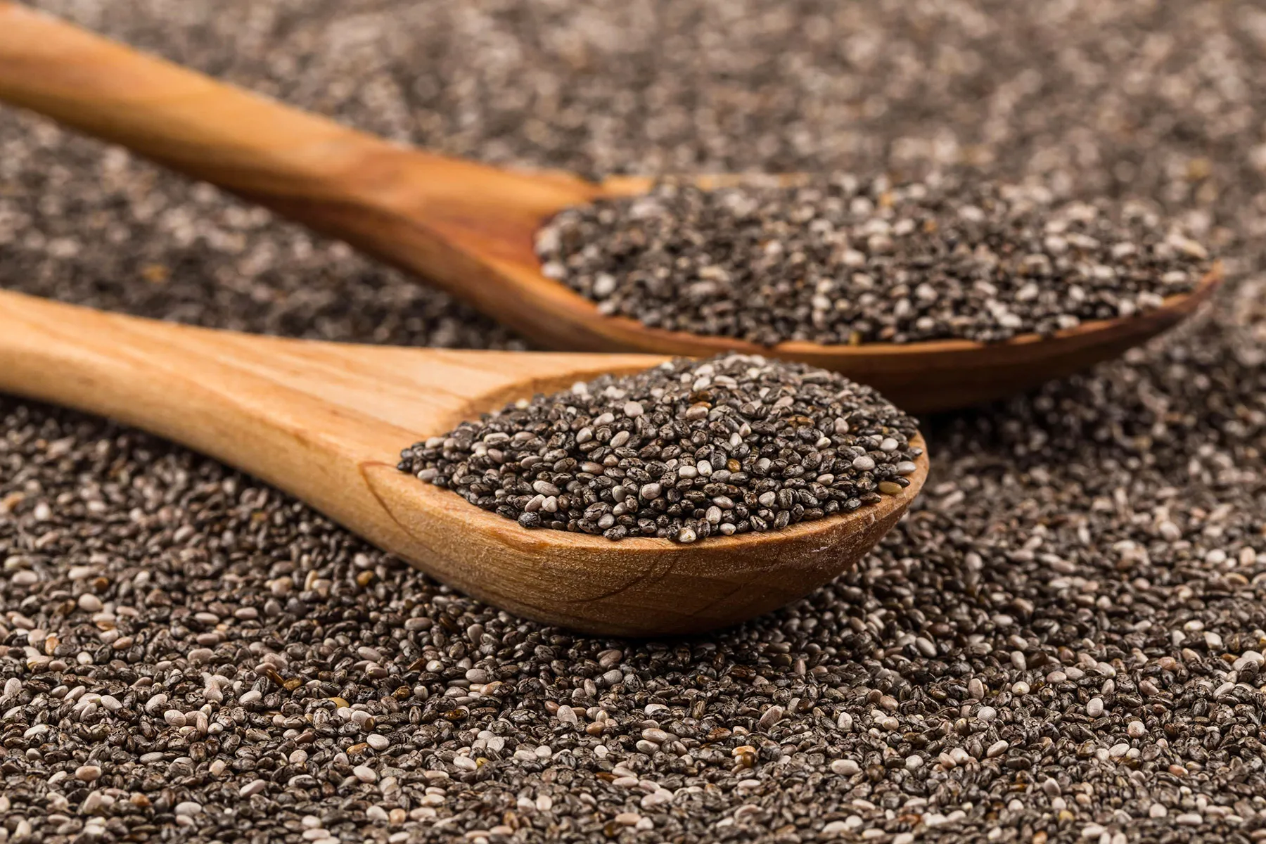 Sea Seed